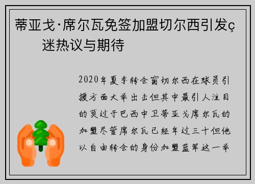 蒂亚戈·席尔瓦免签加盟切尔西引发球迷热议与期待